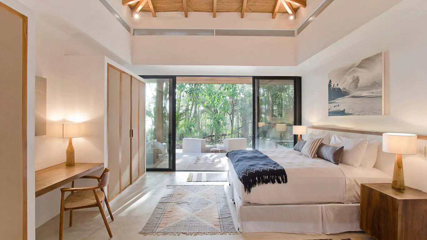 Pasha | Santa Teresa