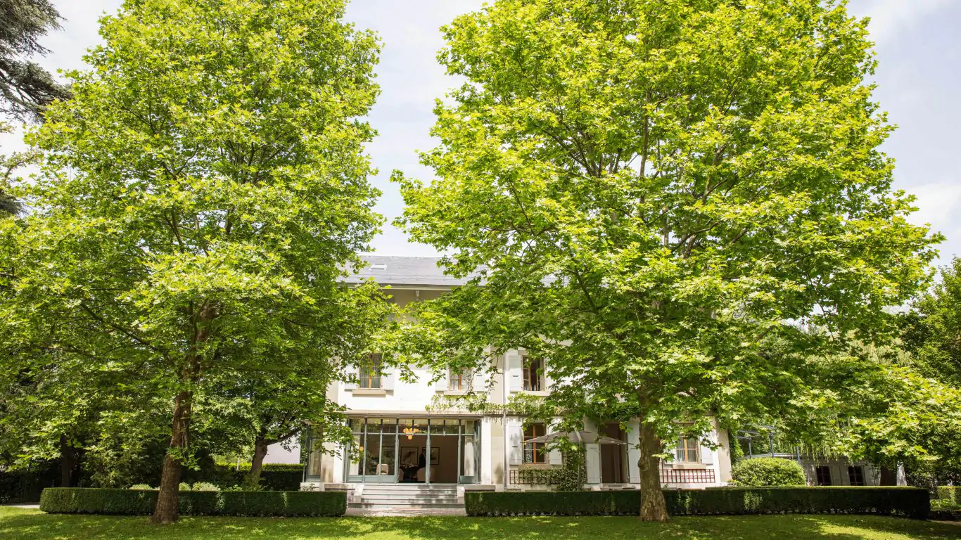 Villa Oasis | Geneva