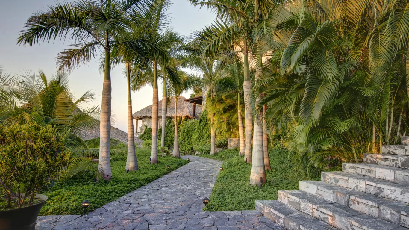 DOS Fiesta | Rest of Latin America