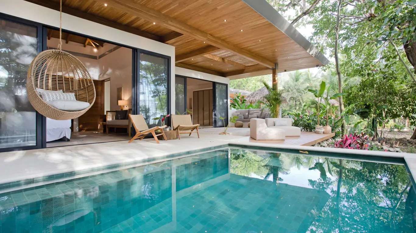 Pasha | Santa Teresa
