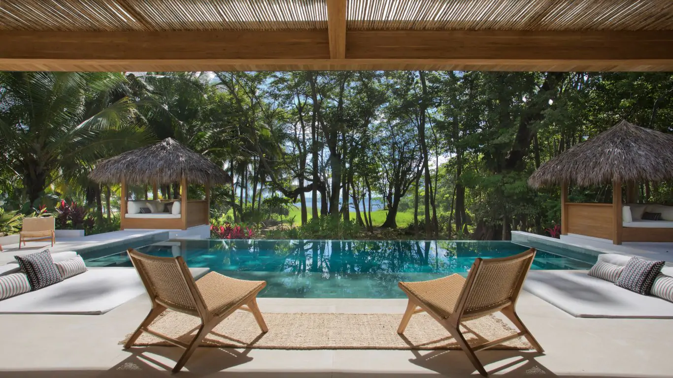 Pasha | Santa Teresa