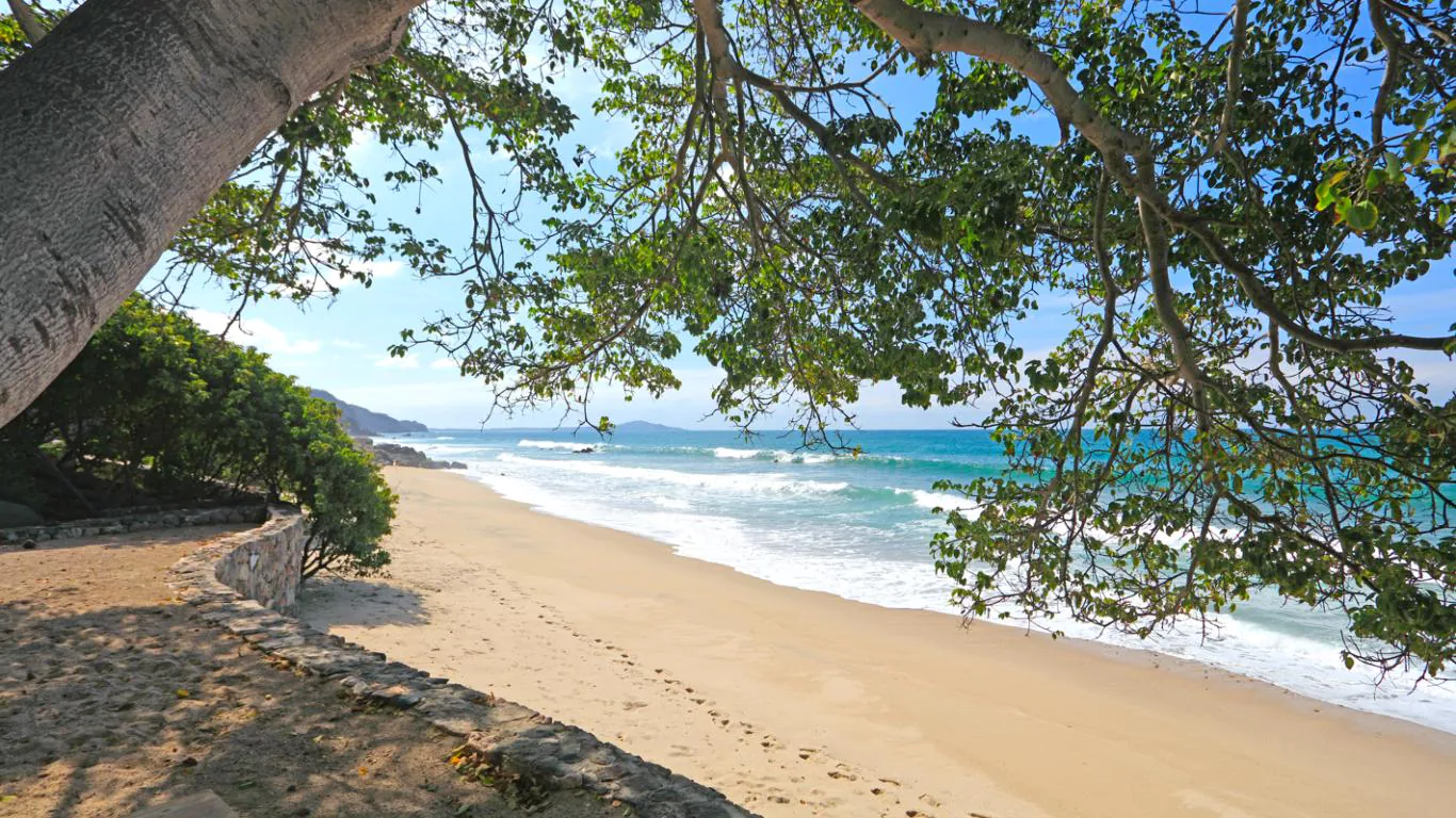 The No Name House | Punta Sayulita