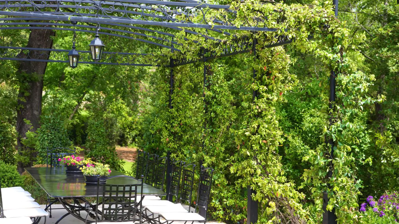 Villa Domaine des Lys | Cannes