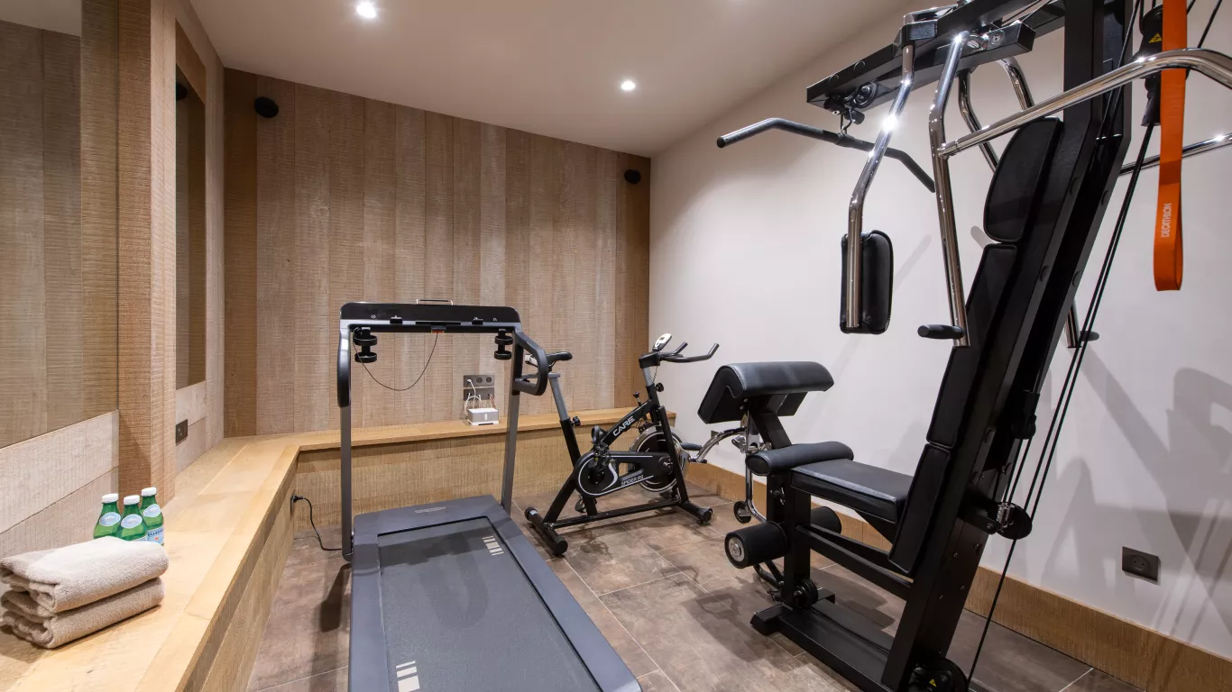 Chalet Alpaca | Meribel