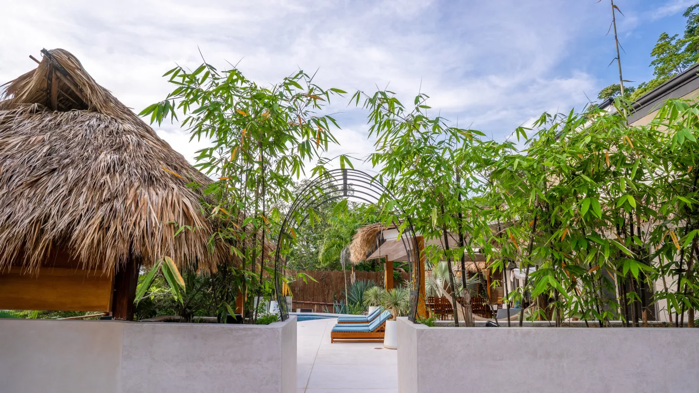 Casa Aria | Santa Teresa