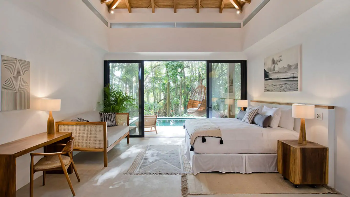 Pasha | Santa Teresa