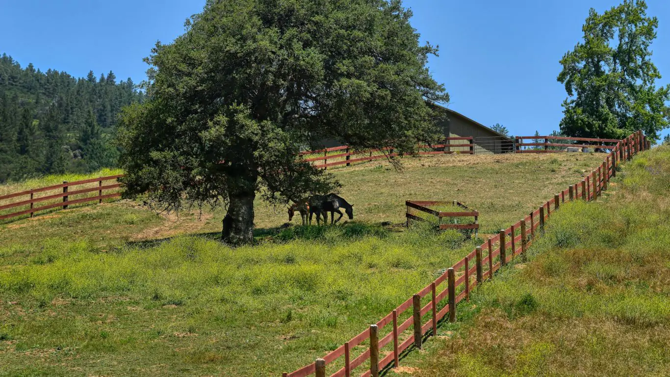 Red Cloud Ranch | San Diego