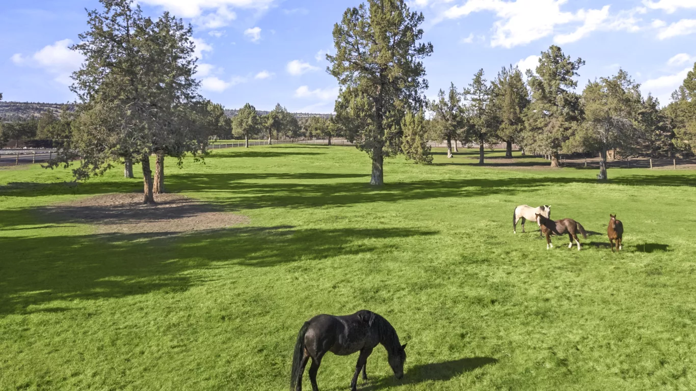 The Redmond Ranch | Oregon