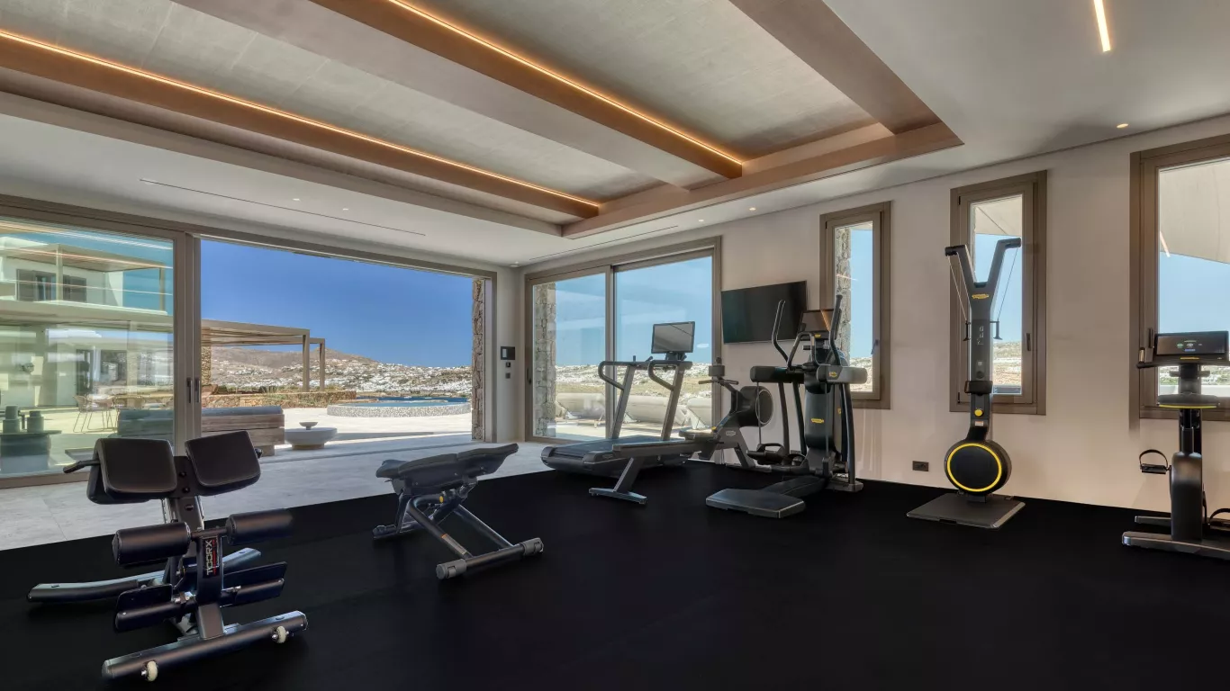 Villa Dani | Mykonos