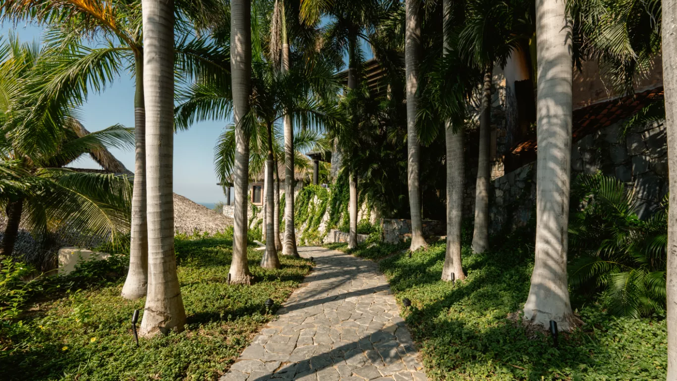 DOS Fiesta | Rest of Latin America