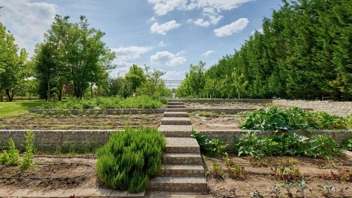 Djokovic Villa | Serbia