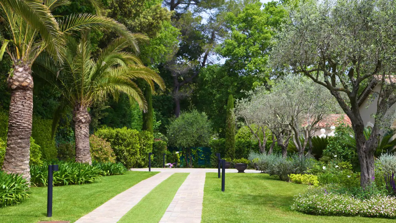 Villa Domaine des Lys | Cannes