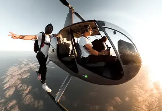 Company Brochures Guest