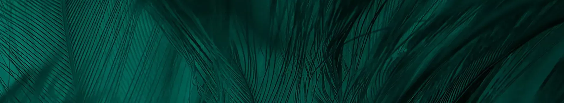 Destination More Properties Image