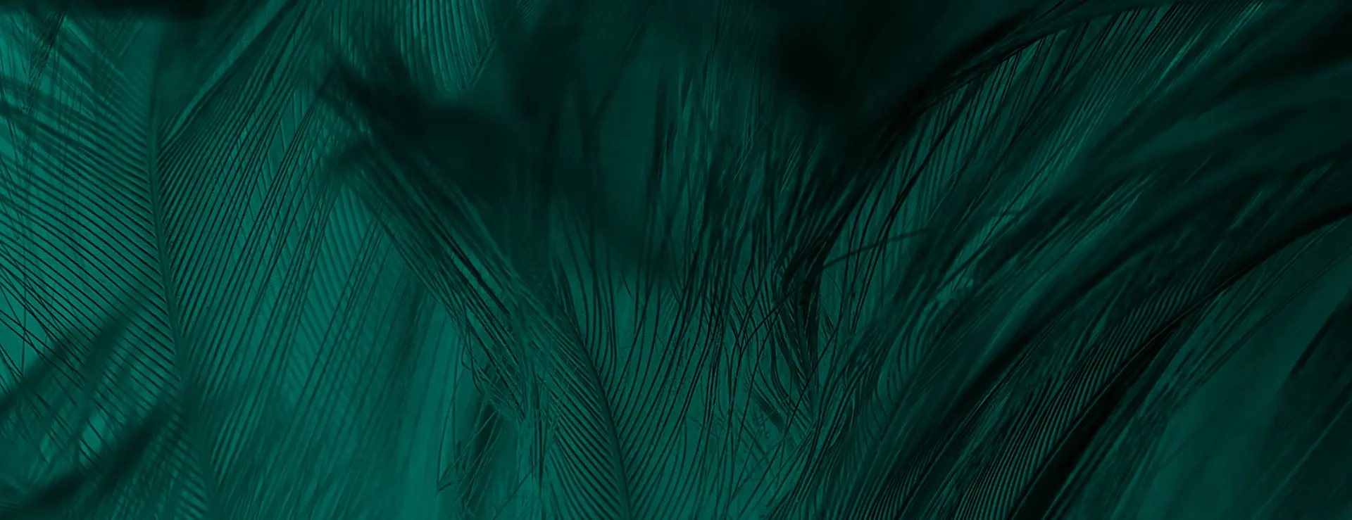 Prive Intro Image