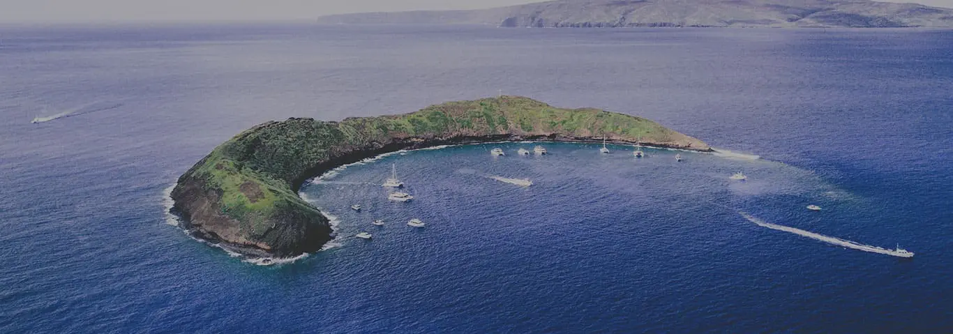 maui luxury vacation rentals, luxury villa rentals maui, luxury vacation rentals in maui, maui luxury villa rentals, luxury vacation rental homes in maui​