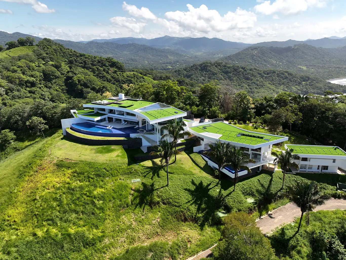 Azul Y Verde Paradise