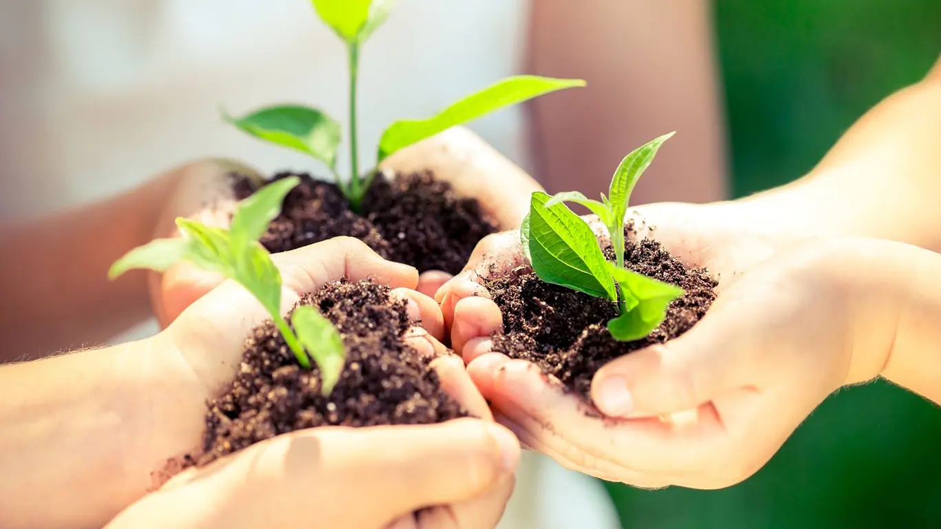 Sustainability