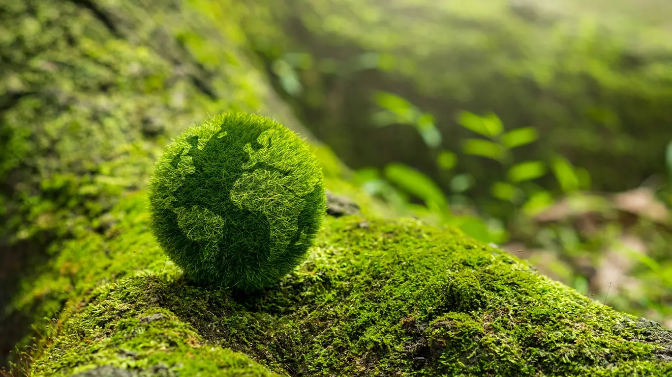 Sustainability